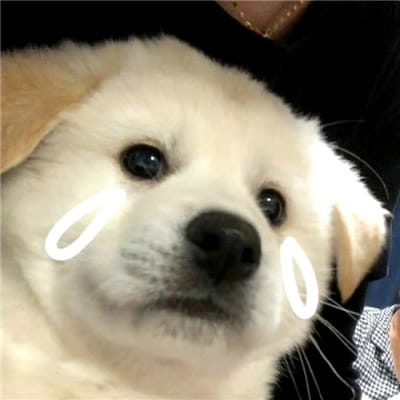 Phạm Thị Nương avatar